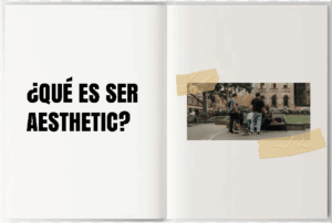 Descubre qué significa ser aesthetic